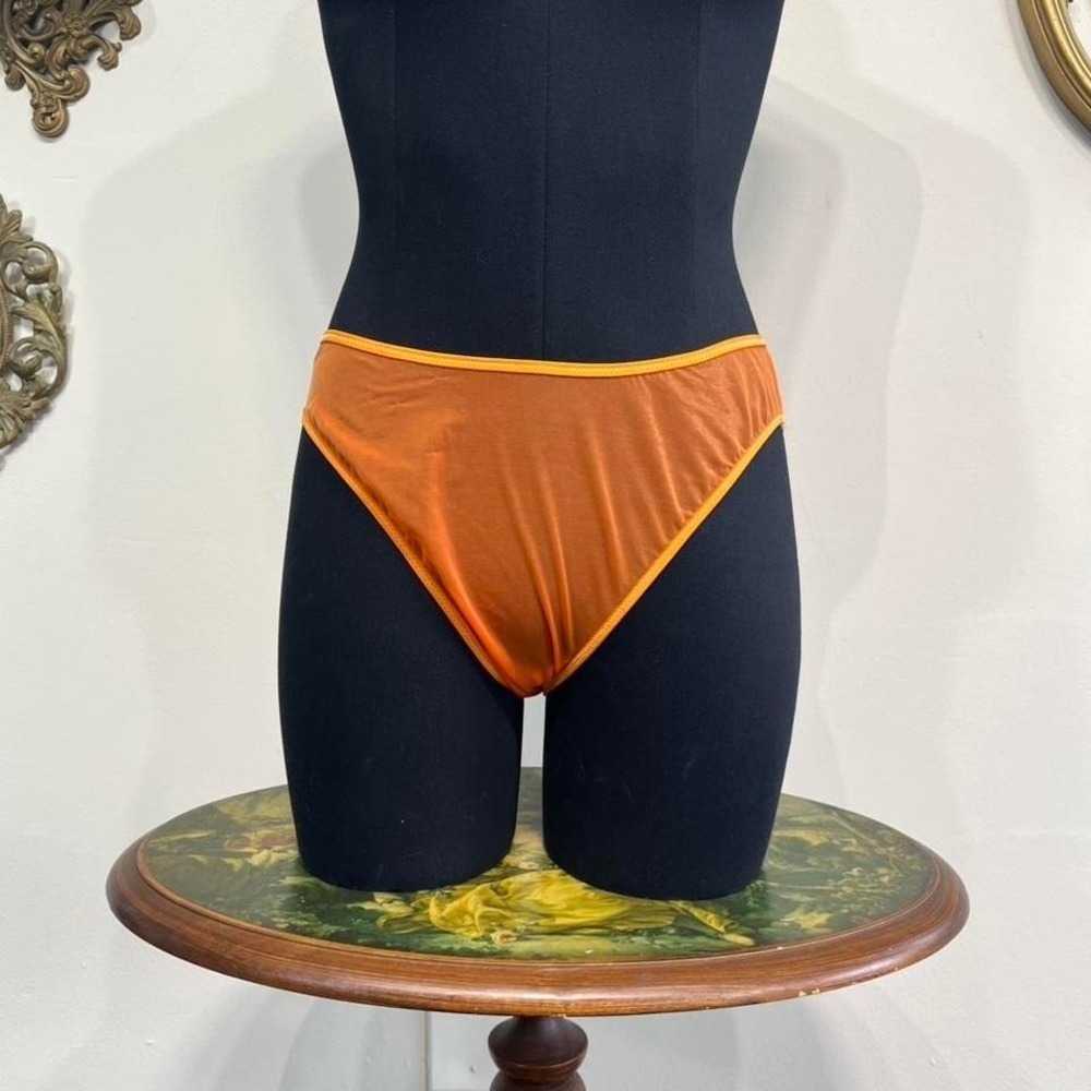 Vintage 90s‎ Victoria's Secret Sheer Mesh Bikini Panties - Burnt Orange - Size L